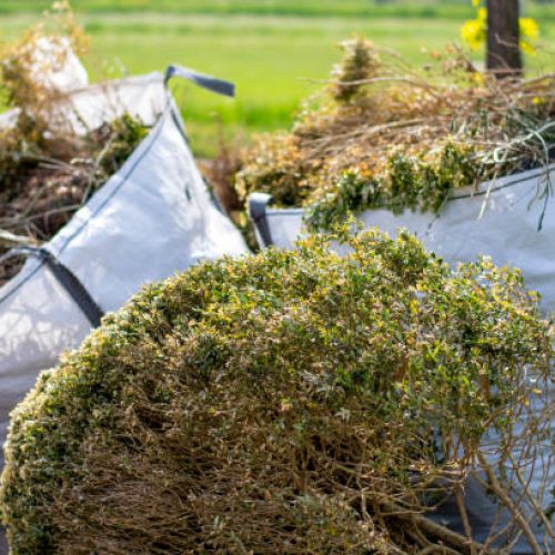 Big white bags filled with organic green garden waste after gardening. Local councils collecting green waste to process it into green energy and compost.